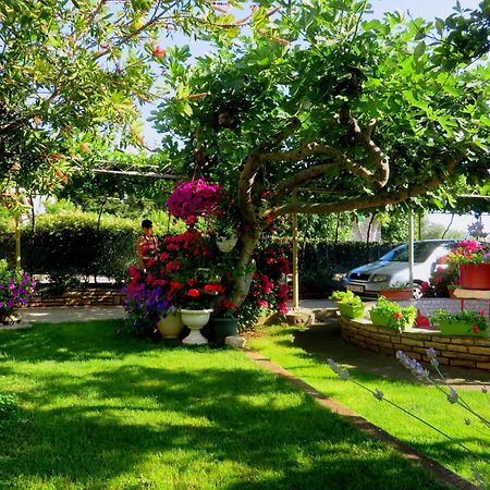 Beach Apartments Roza - The Garden Apartment Biograd Na Moru Exteriér fotografie