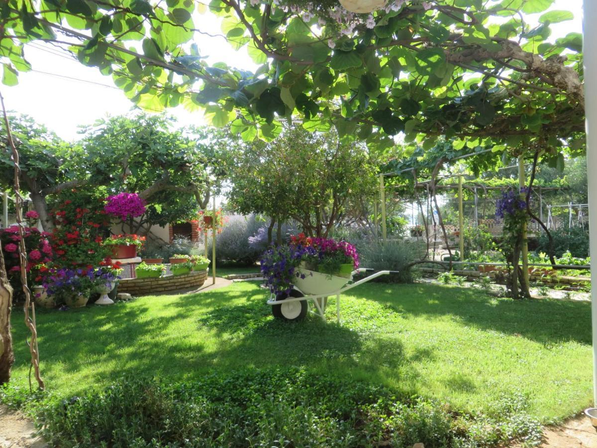 Beach Apartments Roza - The Garden Apartment Biograd Na Moru Exteriér fotografie