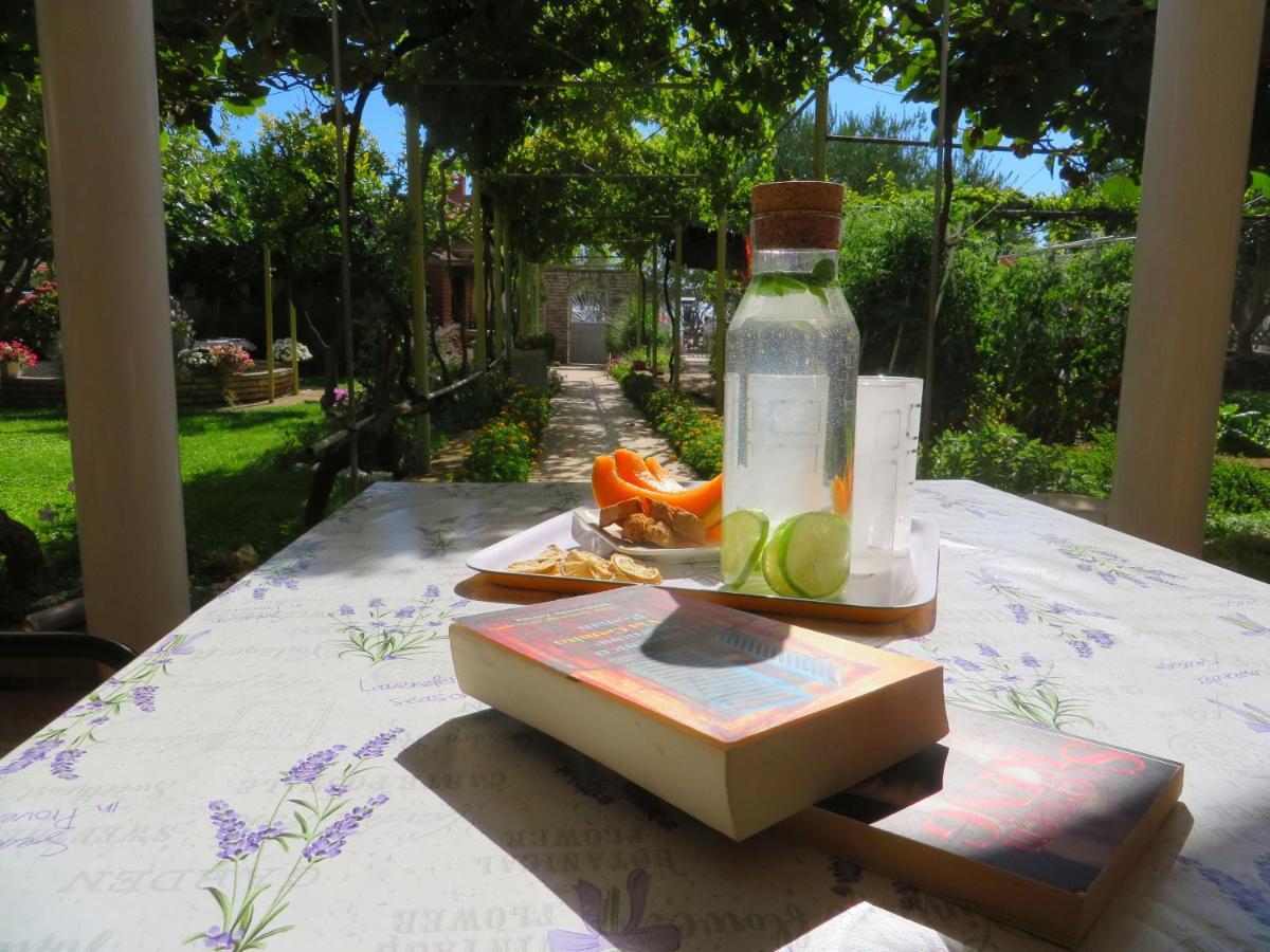 Beach Apartments Roza - The Garden Apartment Biograd Na Moru Exteriér fotografie