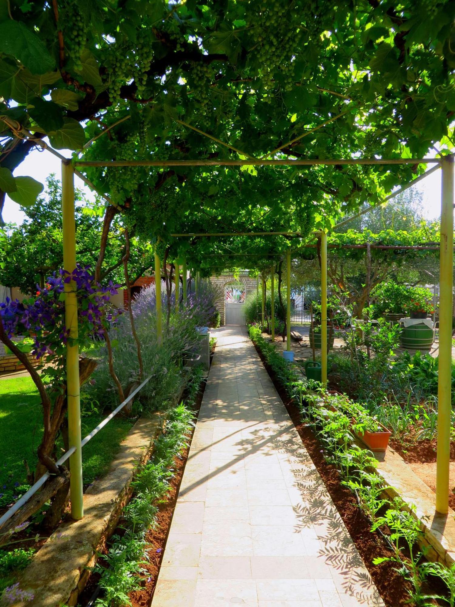Beach Apartments Roza - The Garden Apartment Biograd Na Moru Exteriér fotografie