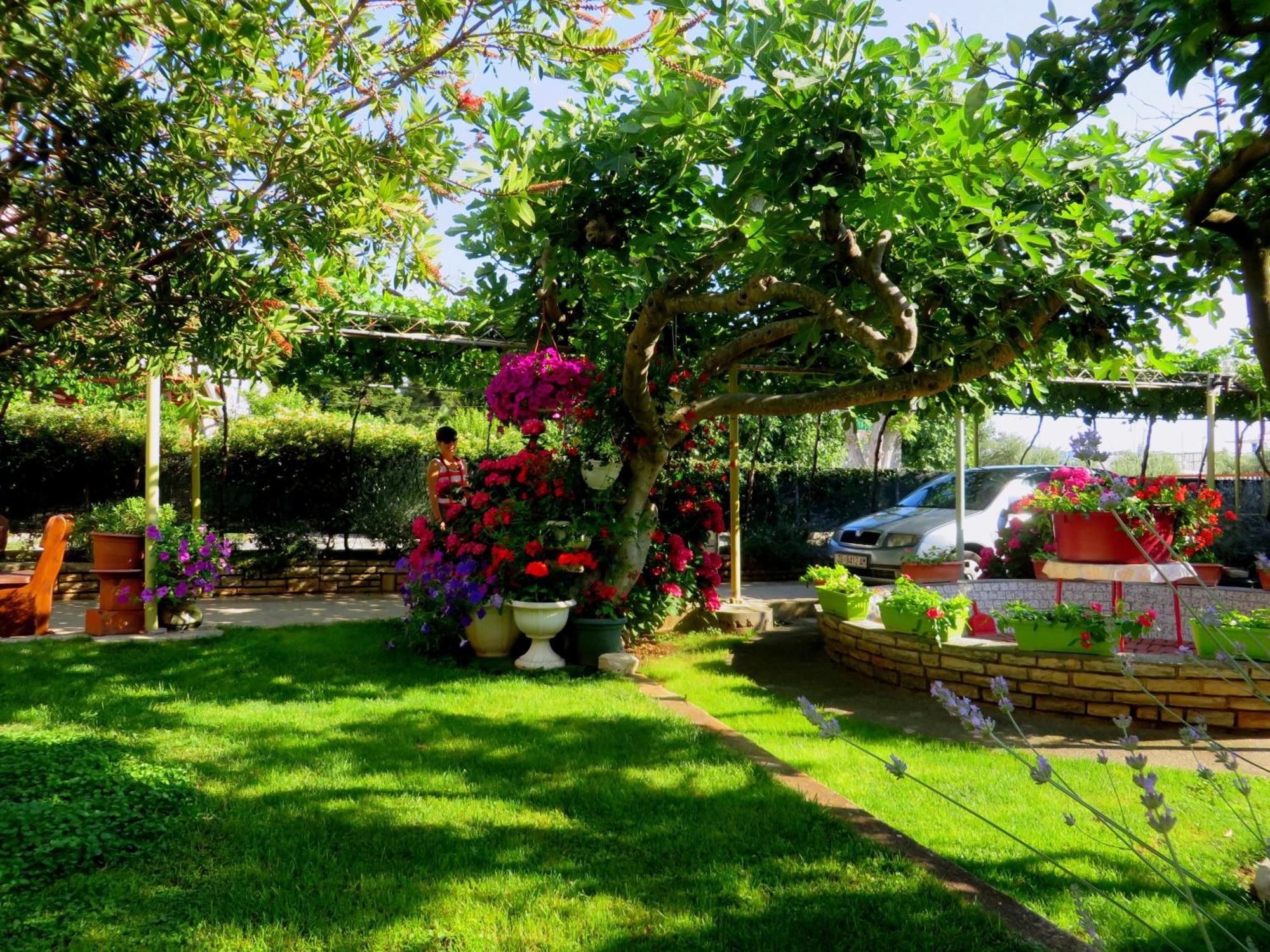 Beach Apartments Roza - The Garden Apartment Biograd Na Moru Exteriér fotografie