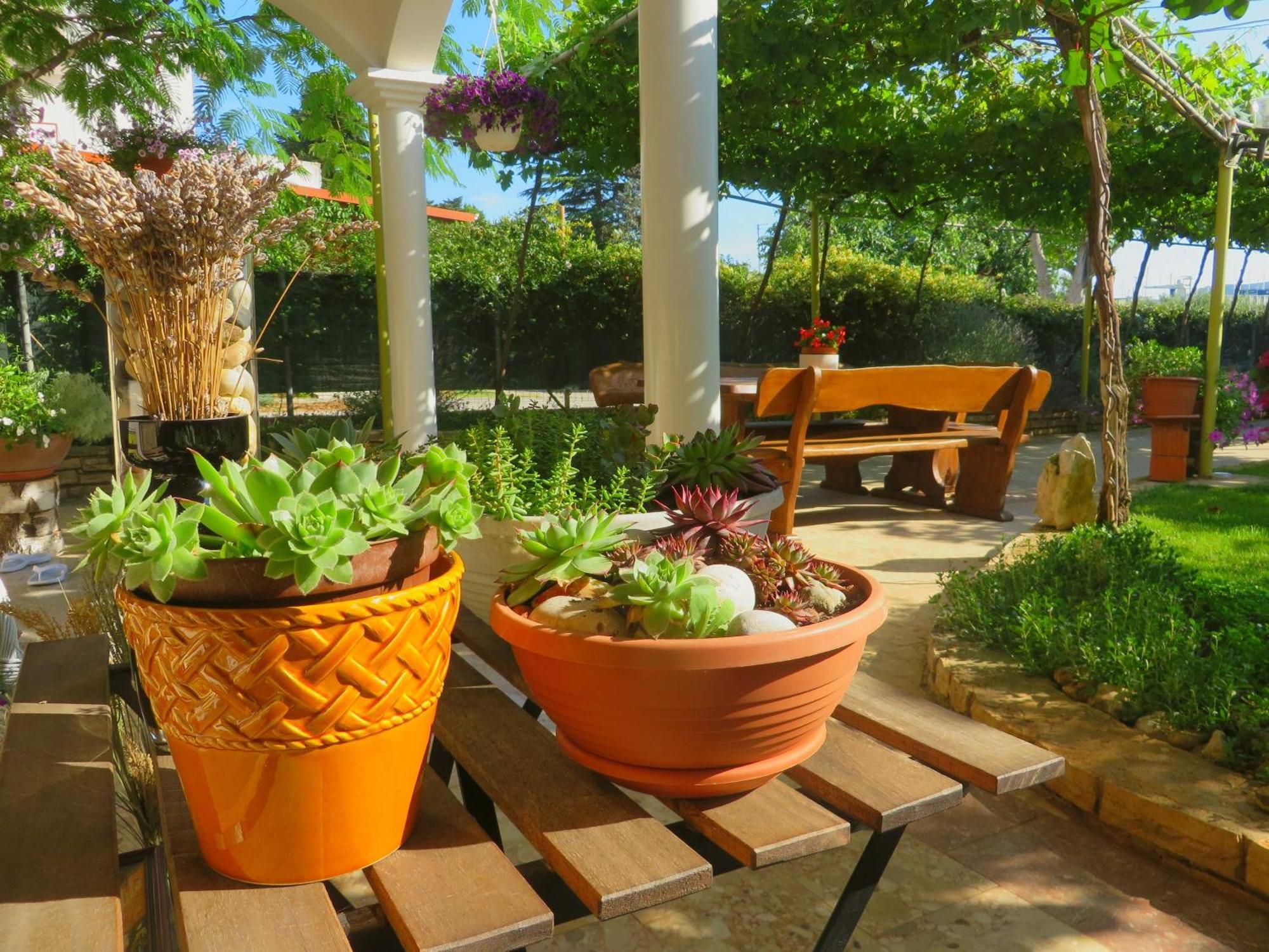 Beach Apartments Roza - The Garden Apartment Biograd Na Moru Exteriér fotografie