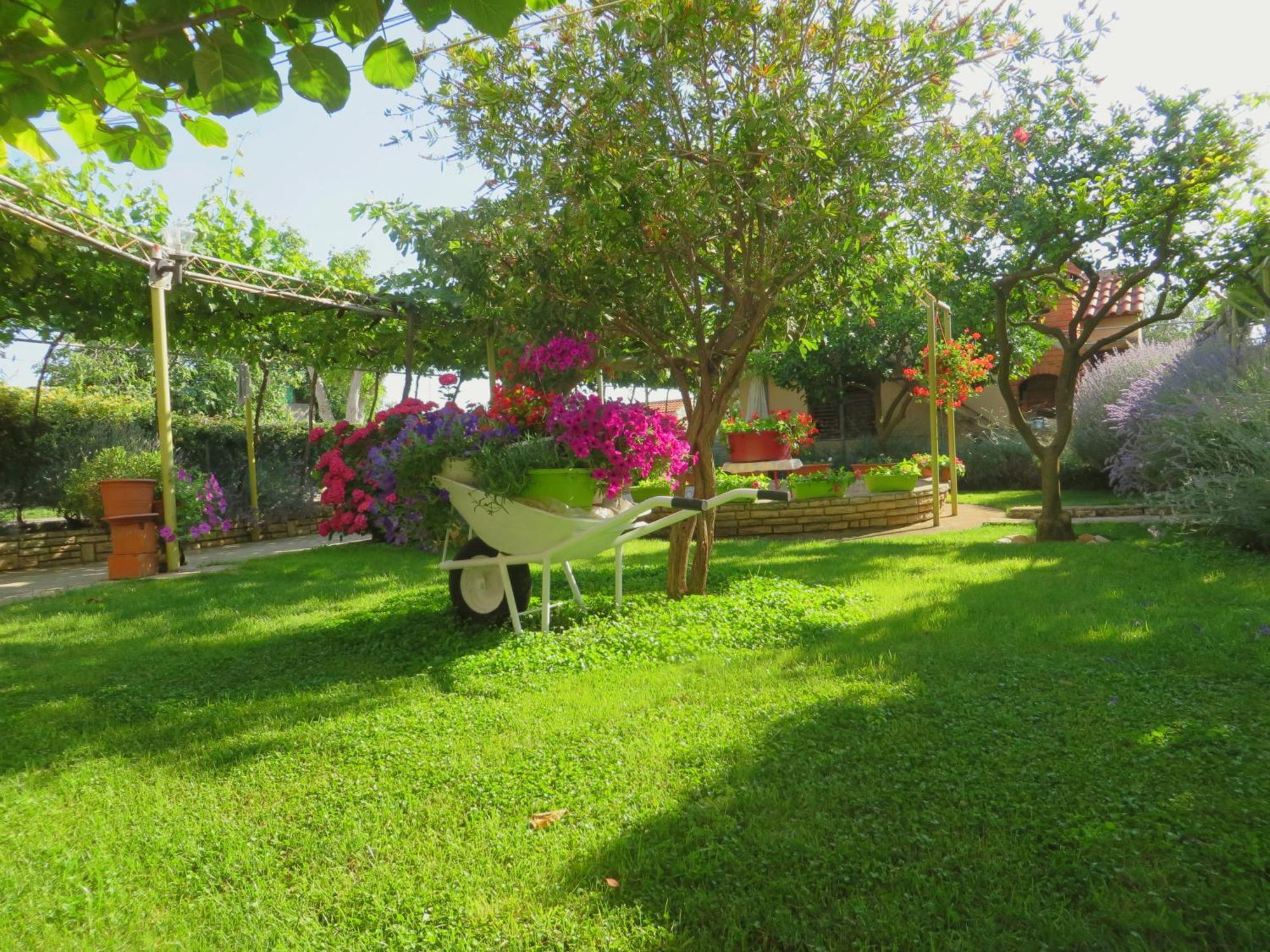 Beach Apartments Roza - The Garden Apartment Biograd Na Moru Exteriér fotografie